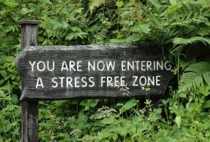 Debt Free Debt Free